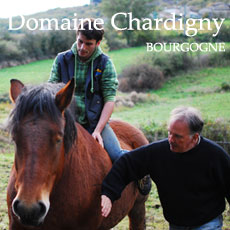 Domaine-Chardigny-Saint-Véran