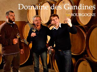 Domaine des Gandines