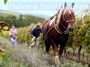 Hubert & Heidi Hausherr