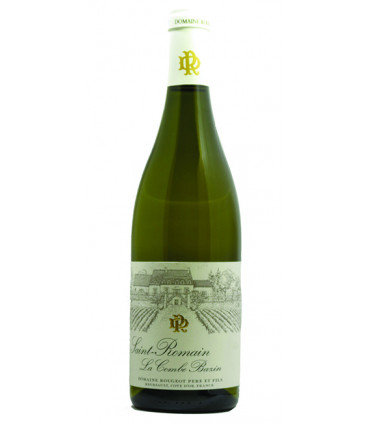 Domaine Rougeot - Saint Romain "Combe Bazin" 2019