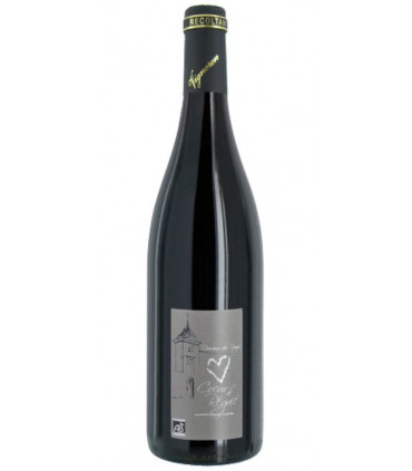 Domaine des Ronze - Cœur de Régnié 2021