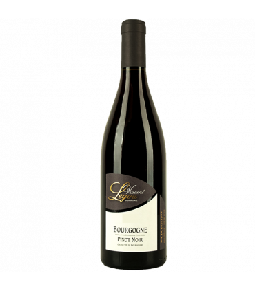 Domaine Vincent Legou - Bourgogne Pinot Noir 2022