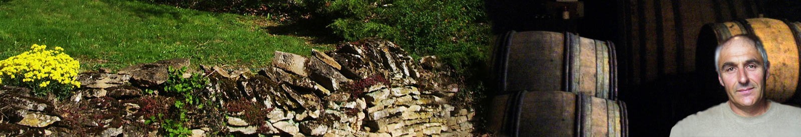 Domaine Guy Chaumont - Givry - Vinos orgánicos