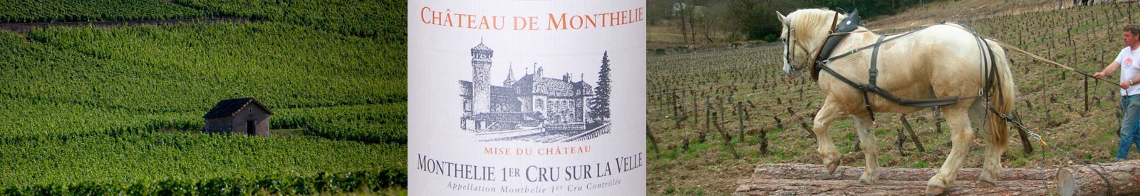 Château de Monthelie - Eric de Suremain - Vino orgánico 