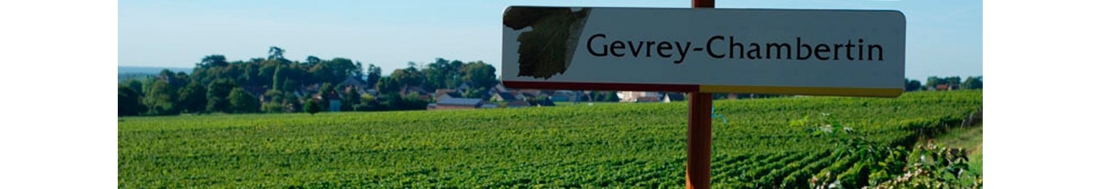 Domaine Tortochot - Gevrey-Chambertin - Orgánico