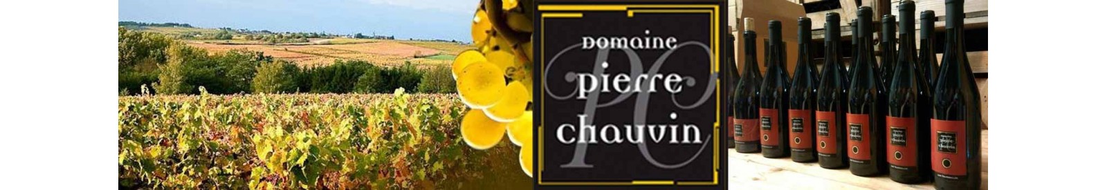 Domaine Pierre Chauvin - Anjou - Vino orgánico 