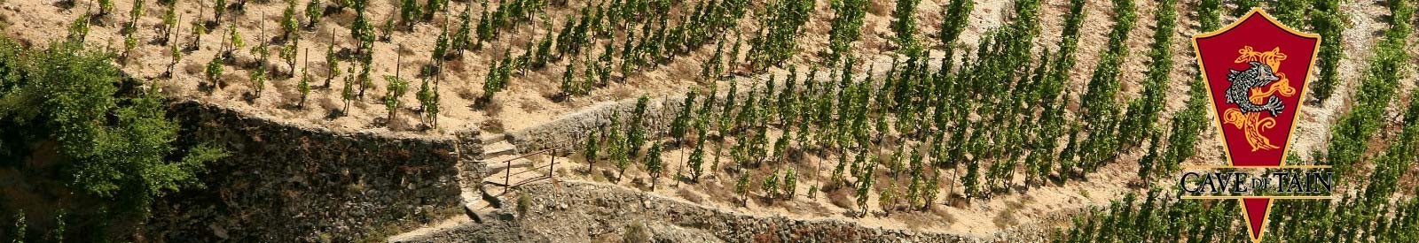 Cave de Tain - Crozes-Hermitage - Vino orgánico