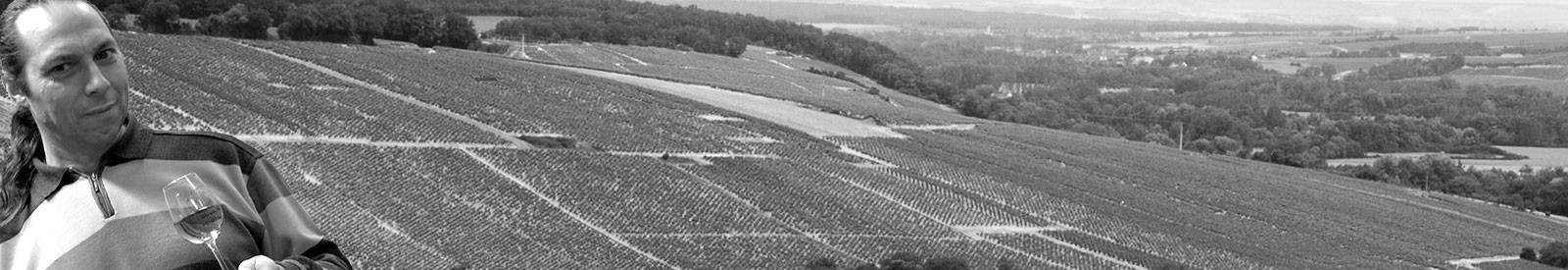 Domaine Philippe Goulley - Chablis - Vino orgánico y biodinámico