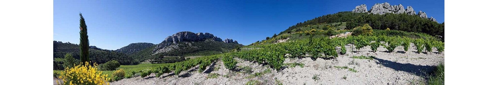 Domaine de Fenouillet - Muscat Beaumes de Venise - Organic wines