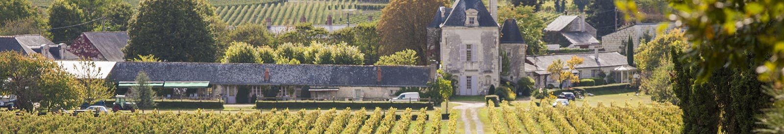 Château de Chaintres - Saumur - Vino orgánico y biodinámico