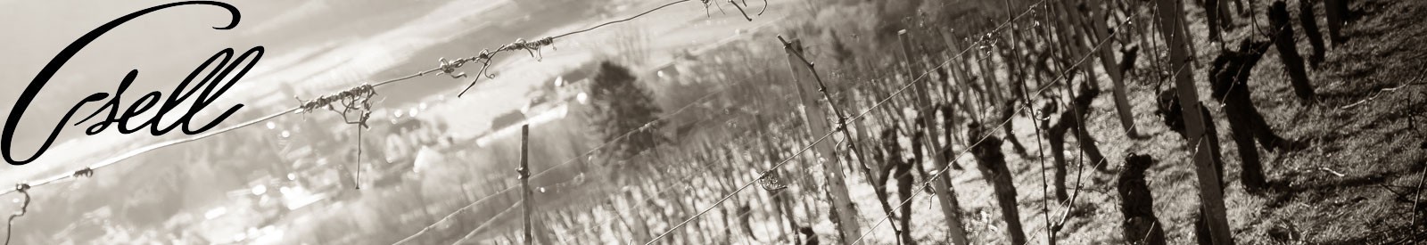 Domaine Joseph Gsell – Alsace - Organic wines
