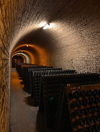 champagne cellar