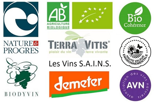 logo-vin-bio&co